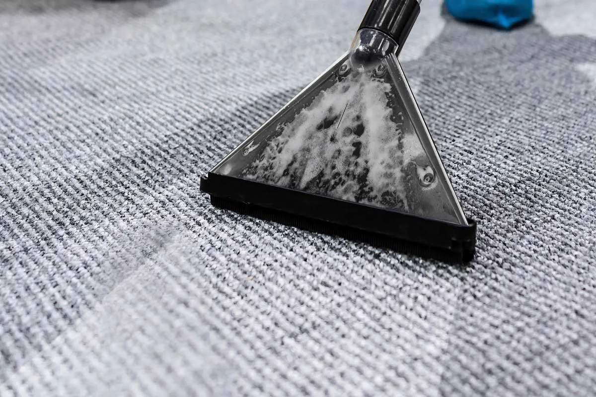 A steam extraction wand cleaning wall-to-wall carpet in a Santa Cruz home