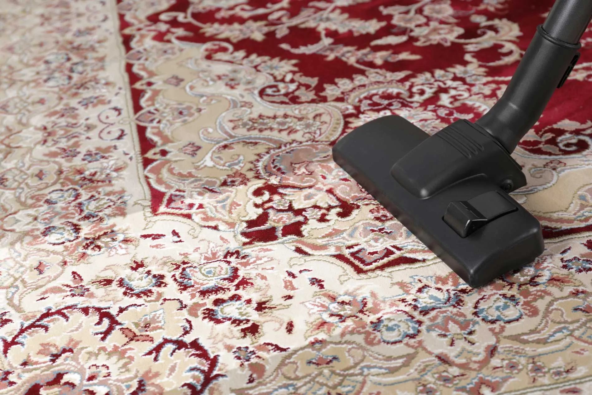 An Oriental rug being cleaned, the pile and border pattern in close detail