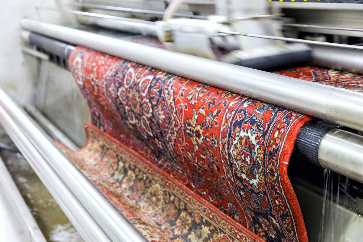 An Oriental rug being rinsed between the rollers of the wash line at our rug facility